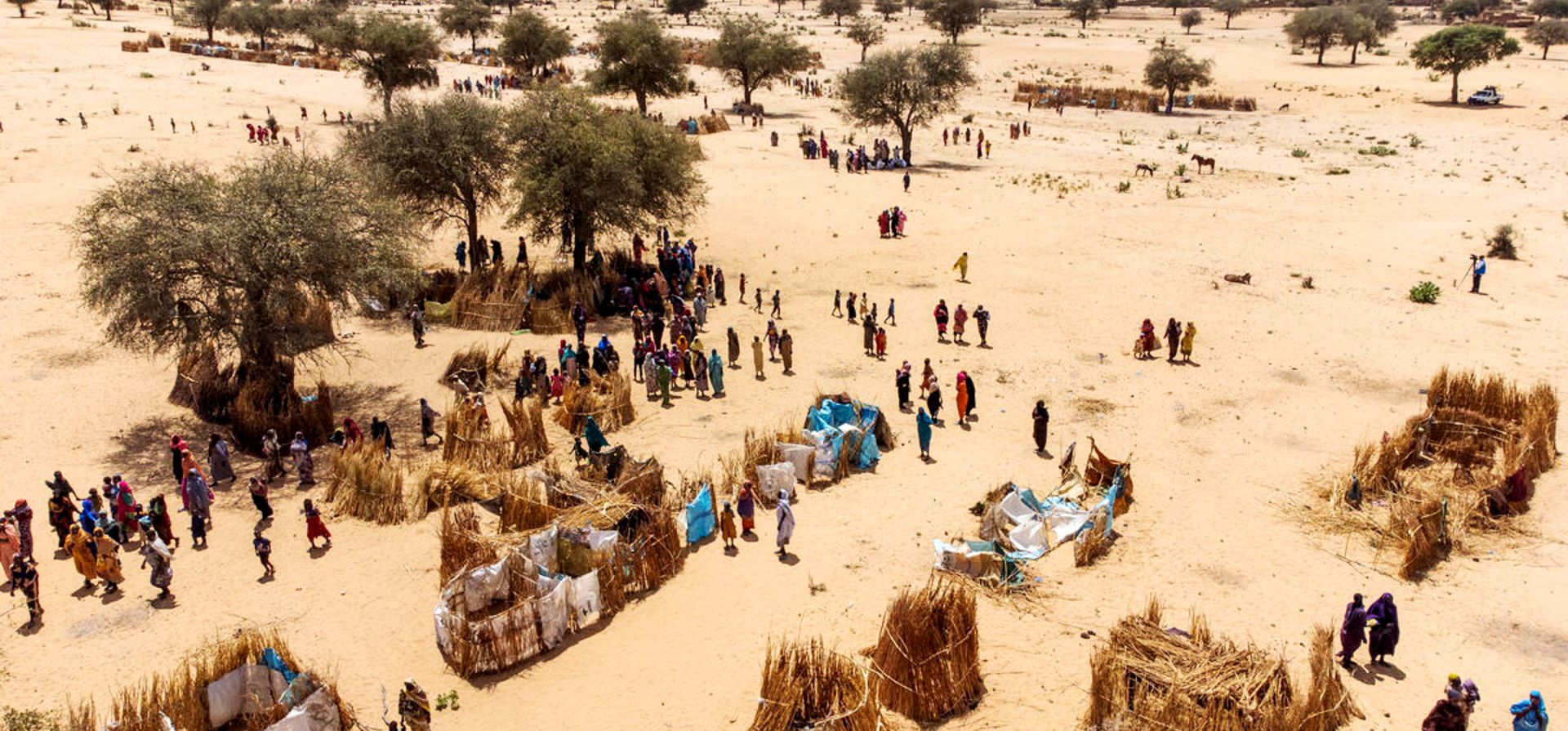 Tchad : Des Cas Suspects De Choléra Détectés