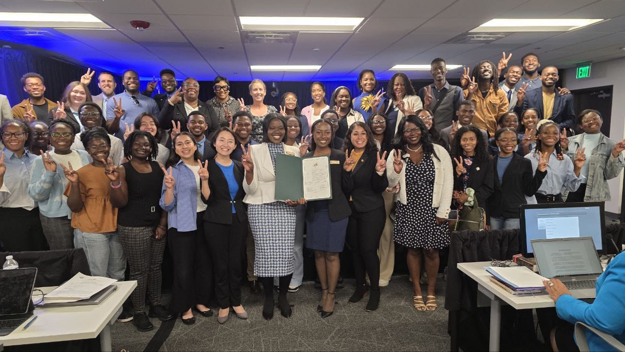 Le Mouvement De Paix De Géorgie S’étend : La Jeunesse, L’art Et Les Dirigeants De Comté S’Unissent